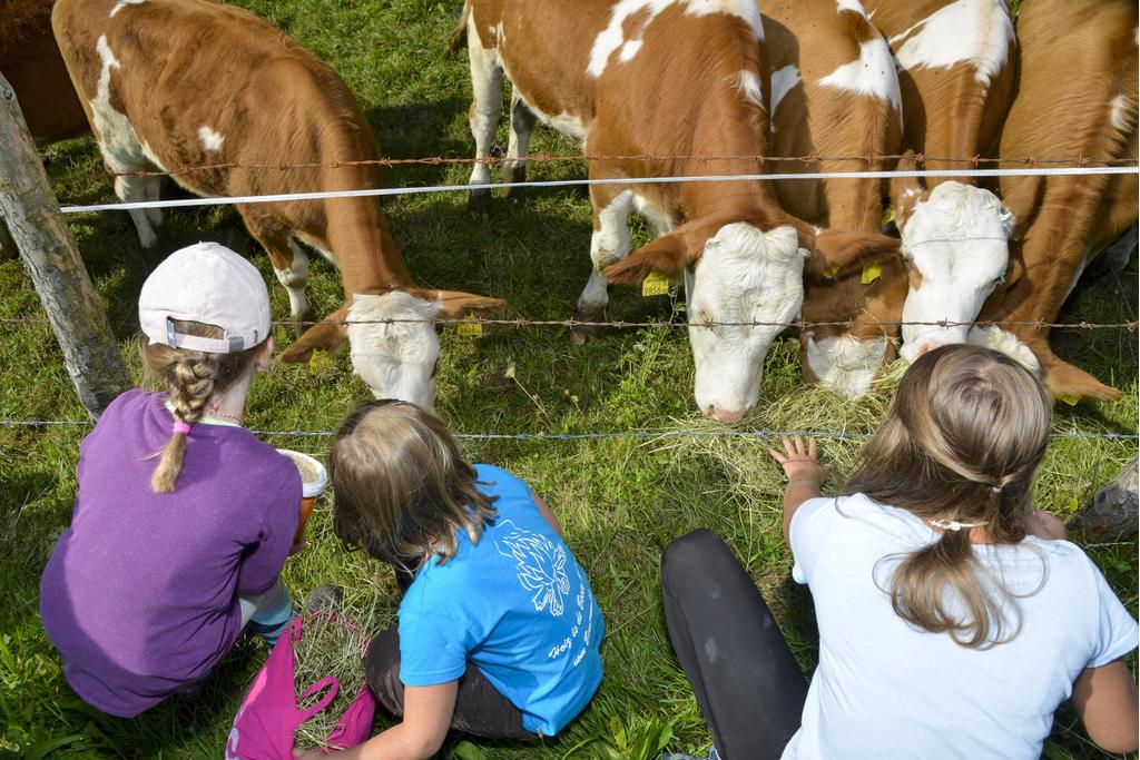 gmahde Wiesn