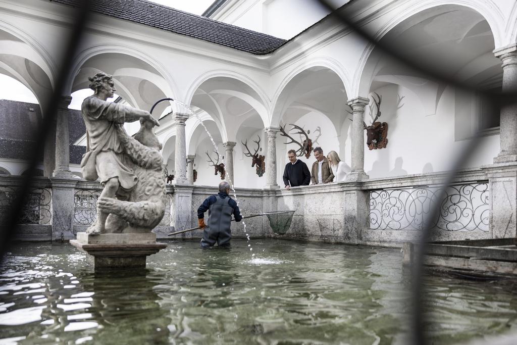 FischkalterWasserbecken_OberoesterreichTourismusRegionWelsRobertJosipovic.jpg