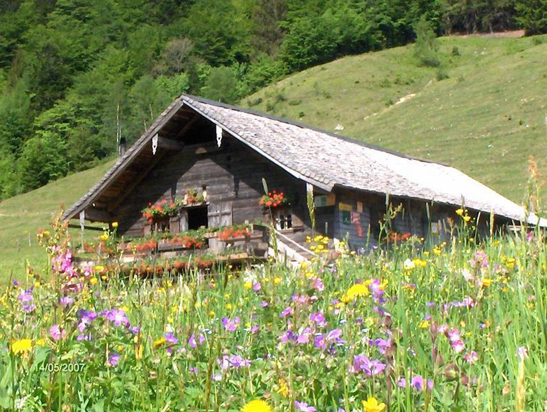 Bild_1