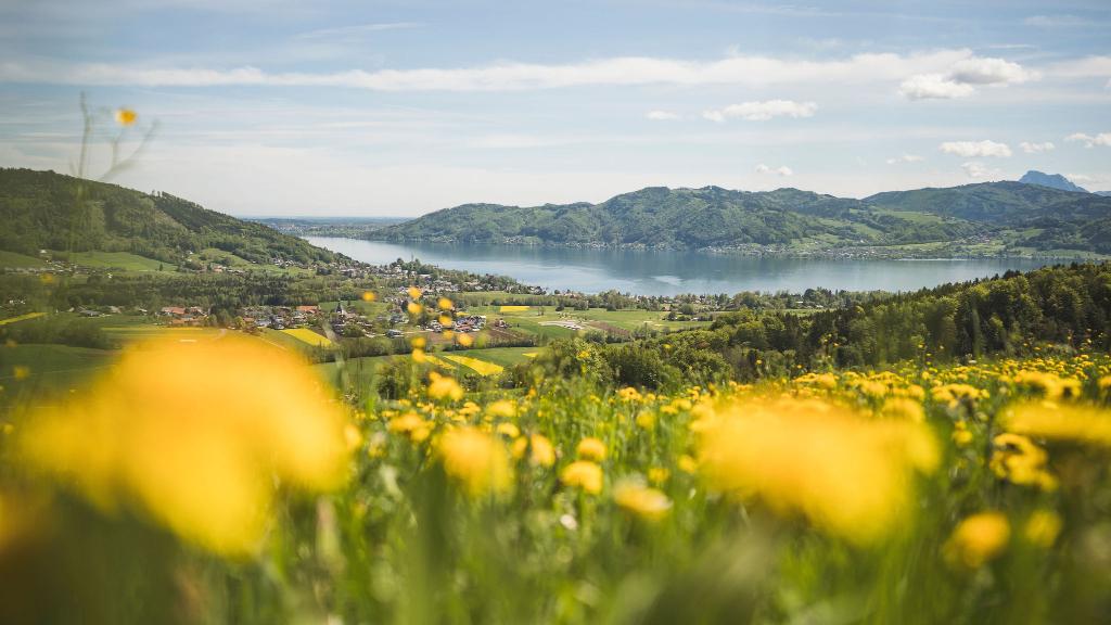 Ausblick von der Kronbergkapelle auf den Attersee