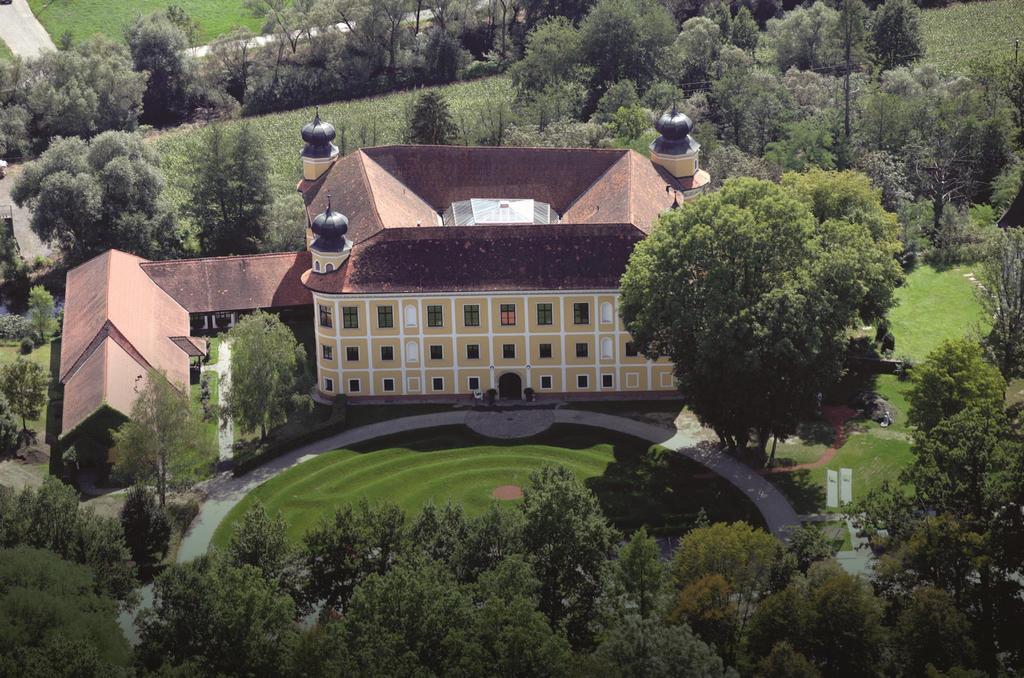 Schloss Gleinstätten aus der Vogelperspektive