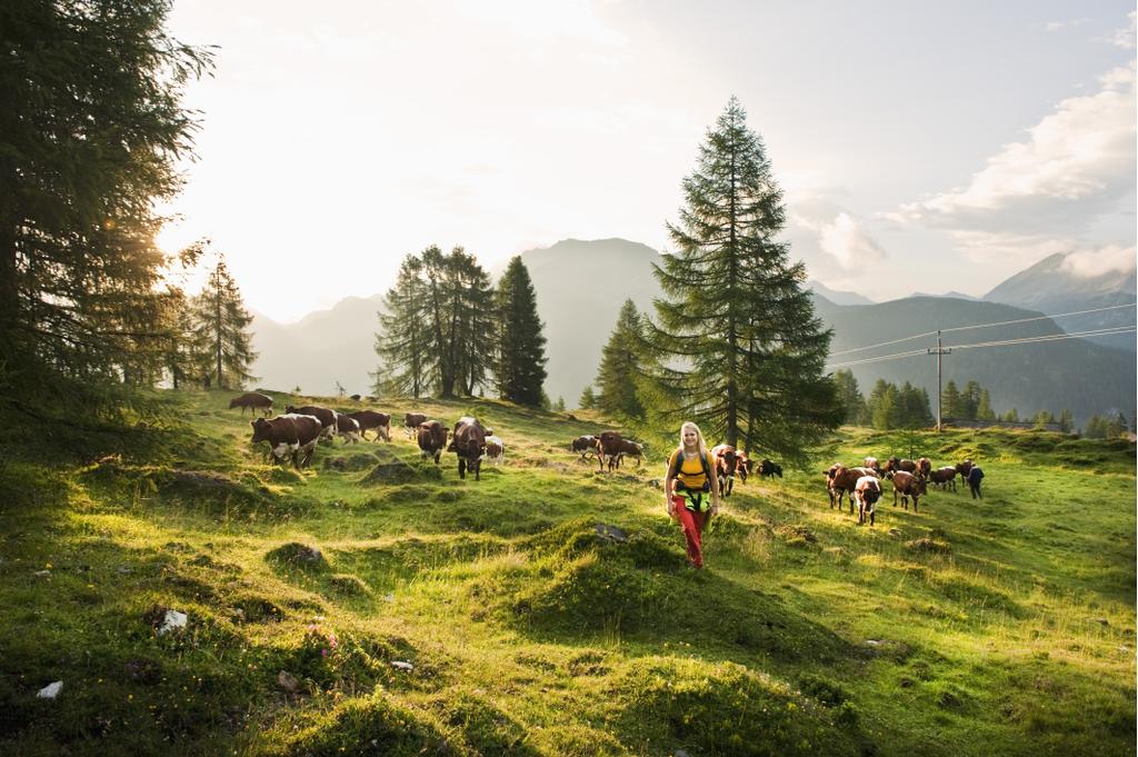 Landschaft