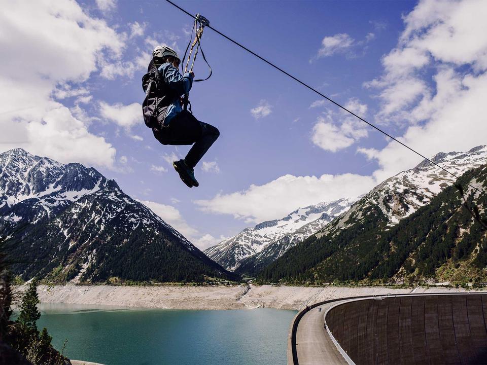 flyingfox-action