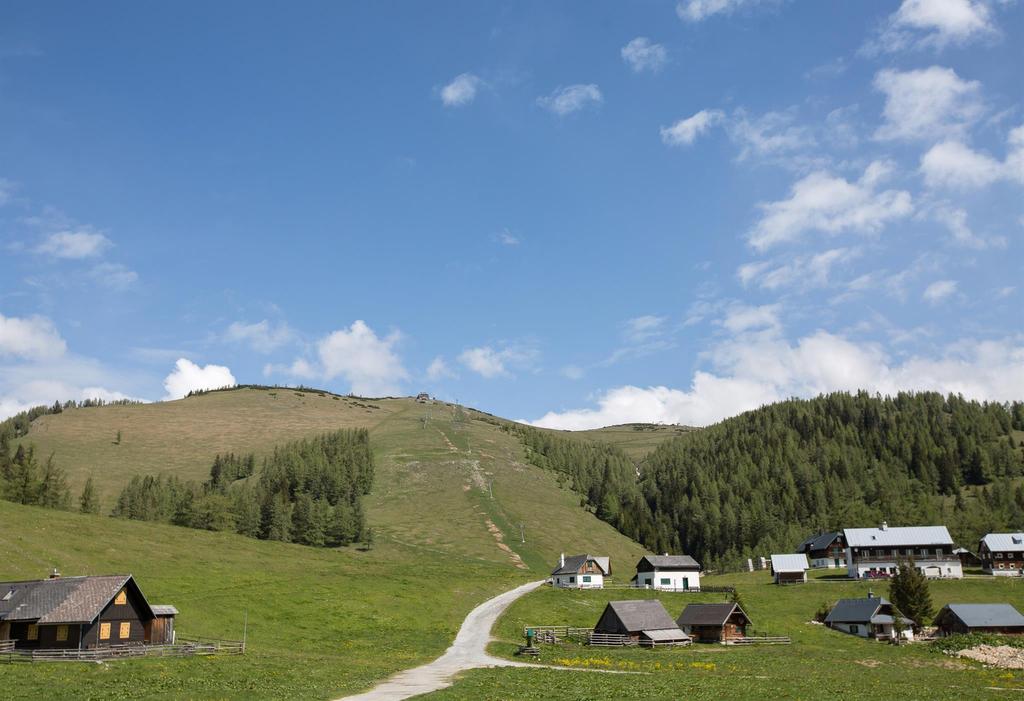 Die Aflenzer Bürgeralm Sommer