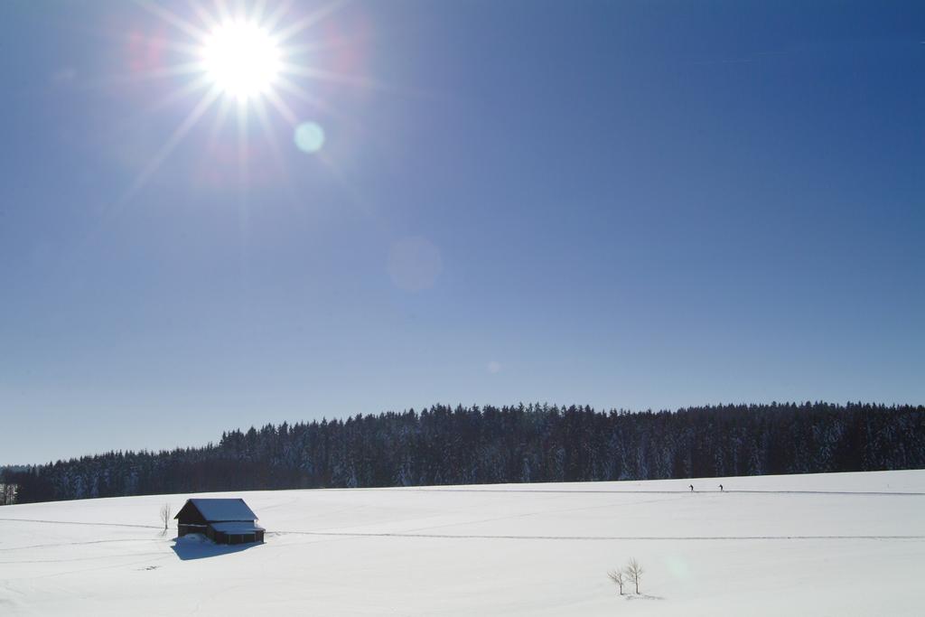 Bergloipe Oberneukirchen