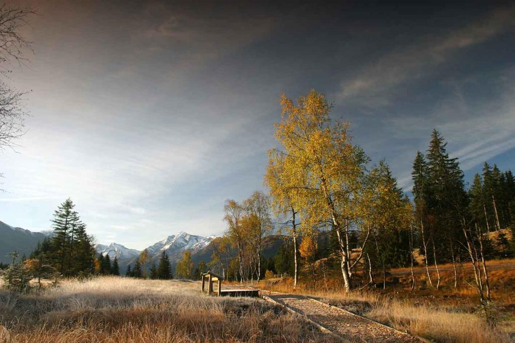 Moorerlebnis Wasenmoos am Pass Thurn