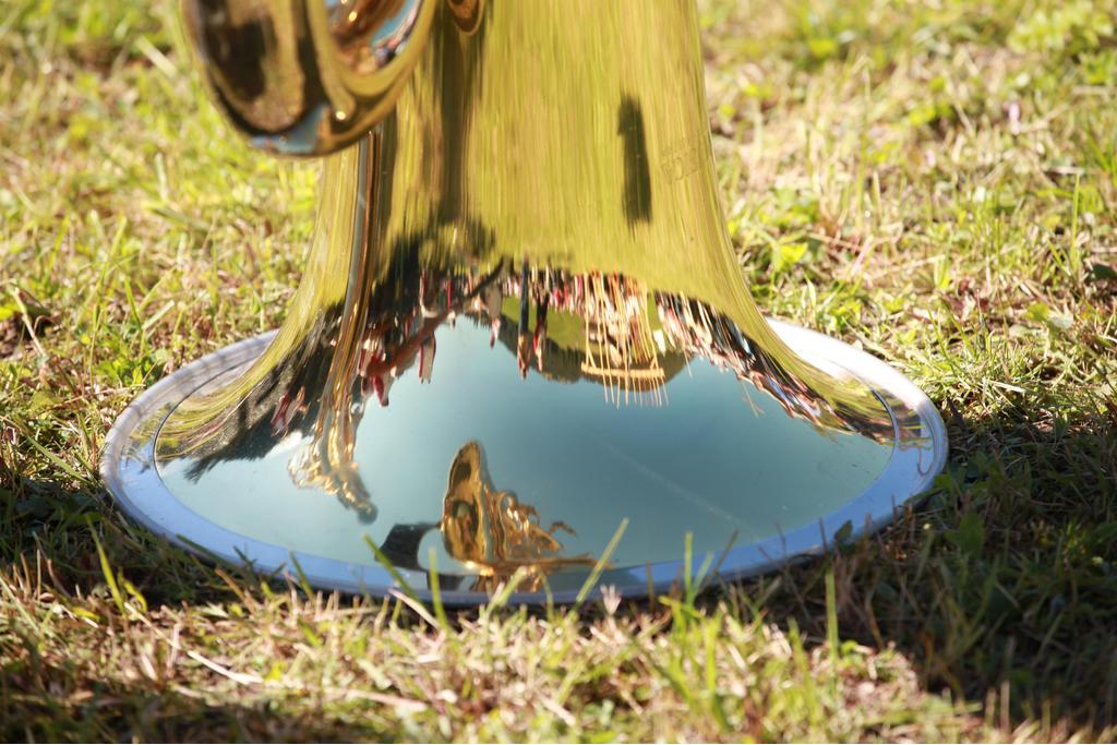 Musikinstrument