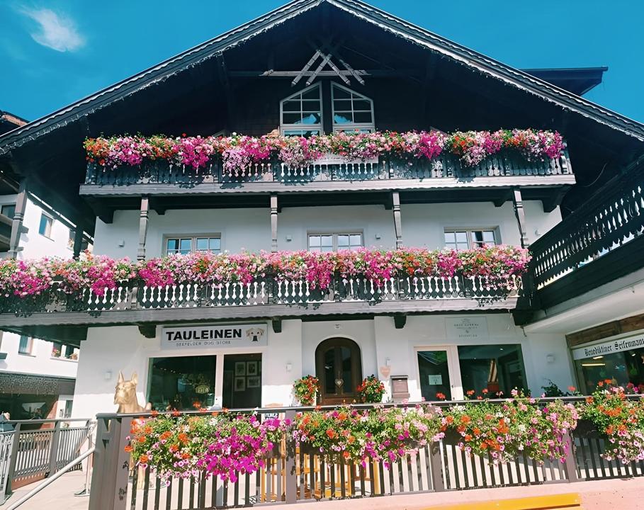 Hausansicht Sommer