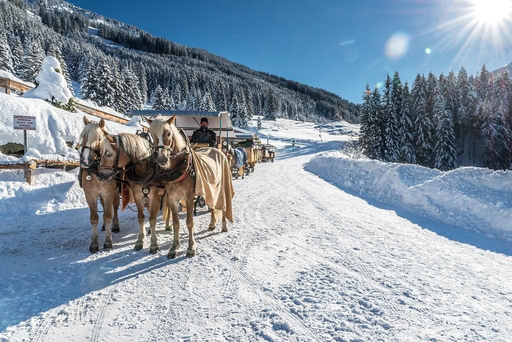 Kutschenfahrt Schönanger