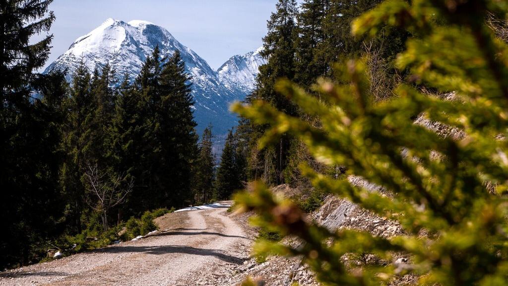 Wanderweg zur Hohen Fluder mit Blick Richtung Hohe Munde.jpg