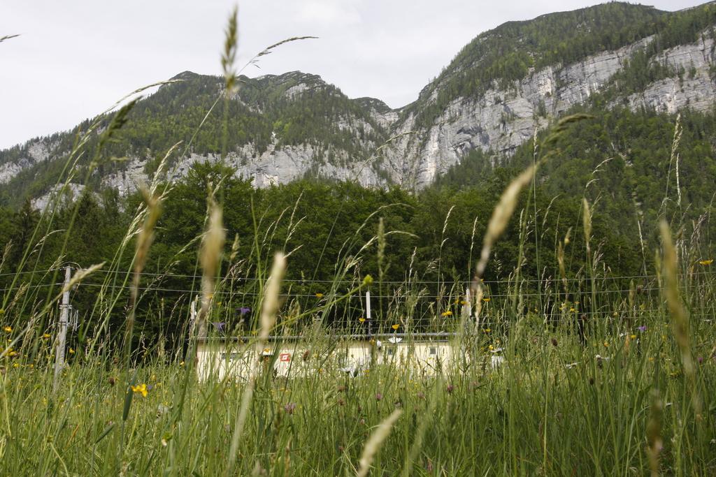 Bahnhof Obersee