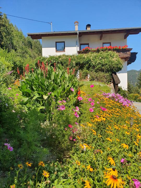 Asterhof Sommer