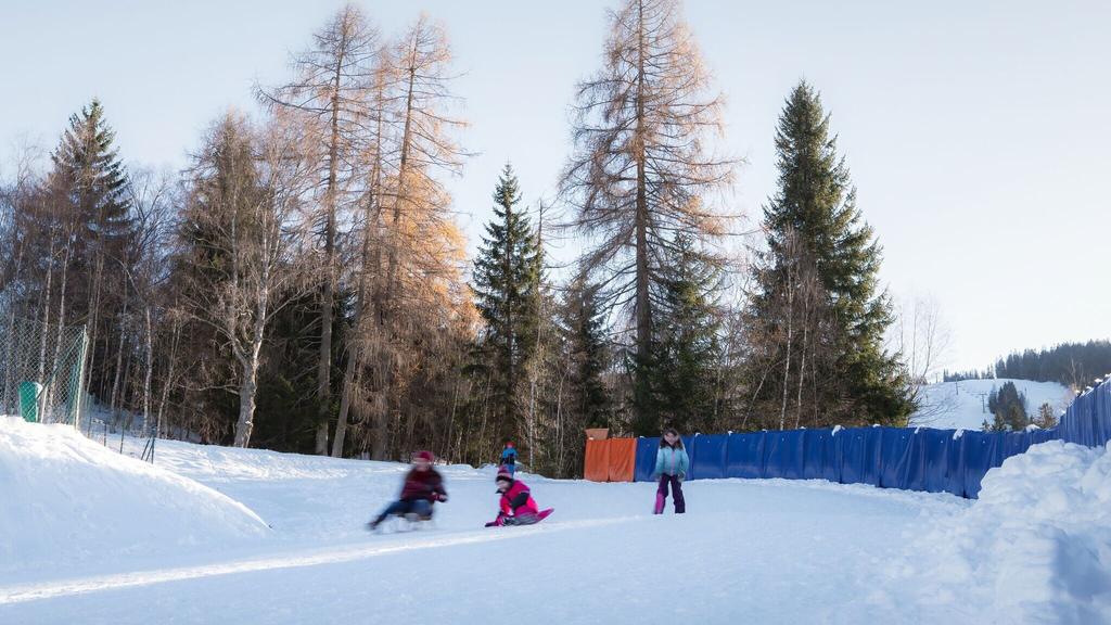 Rodelhügel Seefeld_Familie fährt den Hügel hinab.jpg
