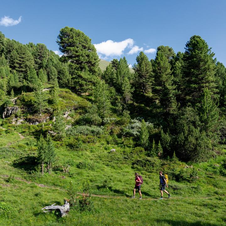 Aufstieg zur Ramoalm