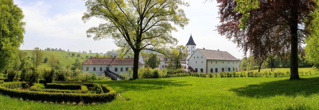 Schloss Parz
