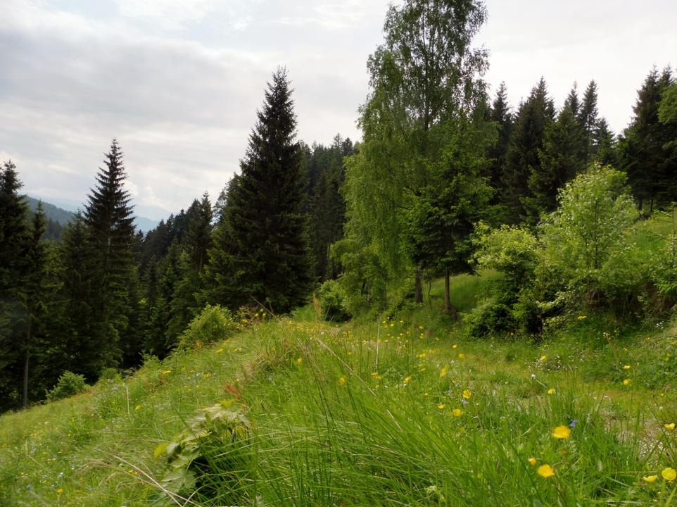 Wanderweg "Wölling"