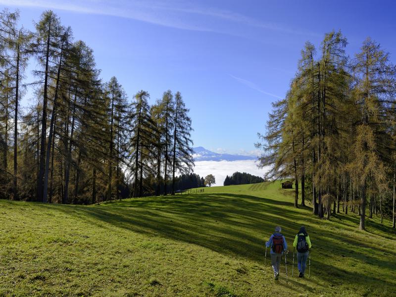 Josefweg Attersee