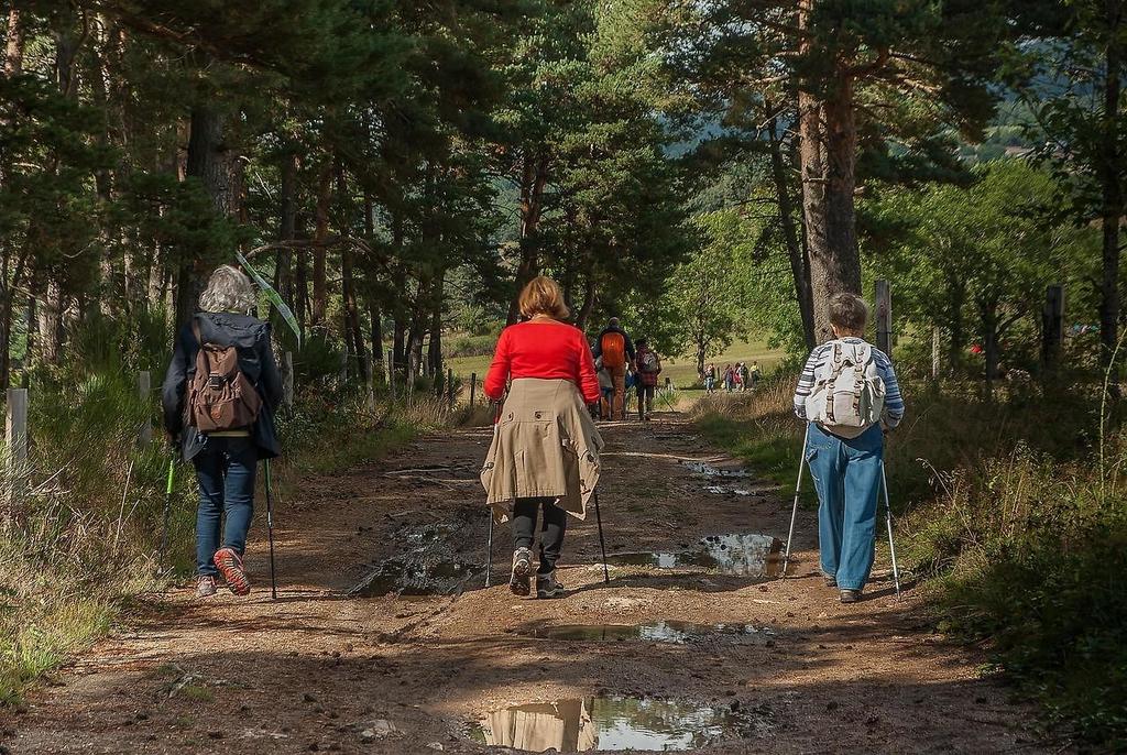 Wandern