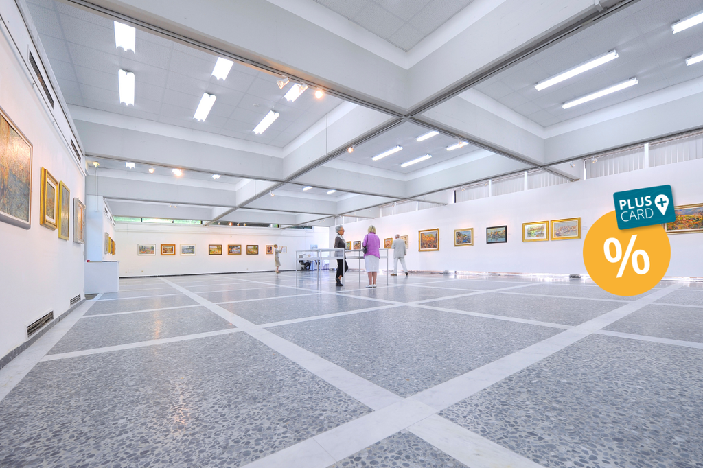 Titelbild Ws+ Card Alpen-Adria Galerie