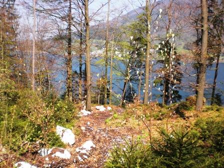 Ausblick 2 Seenweg