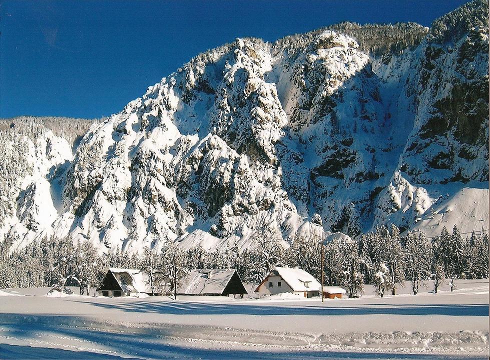 Polsterlucke im Winter