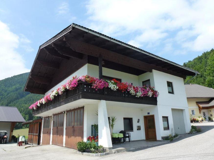Gimplbauer