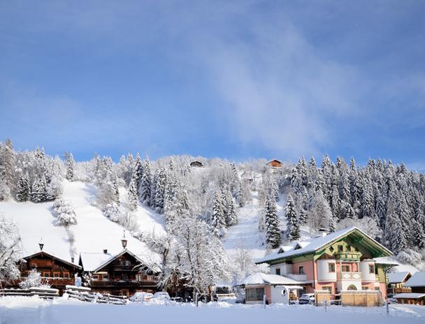 Baumanngut Winter 2