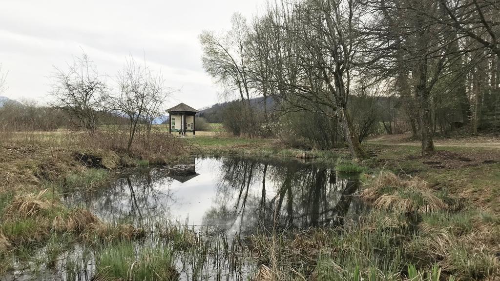 04-2021-GerlhamerMoor-CZ (10)