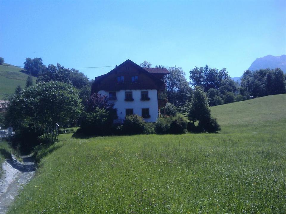 Ferienhof Grundner im Sommer