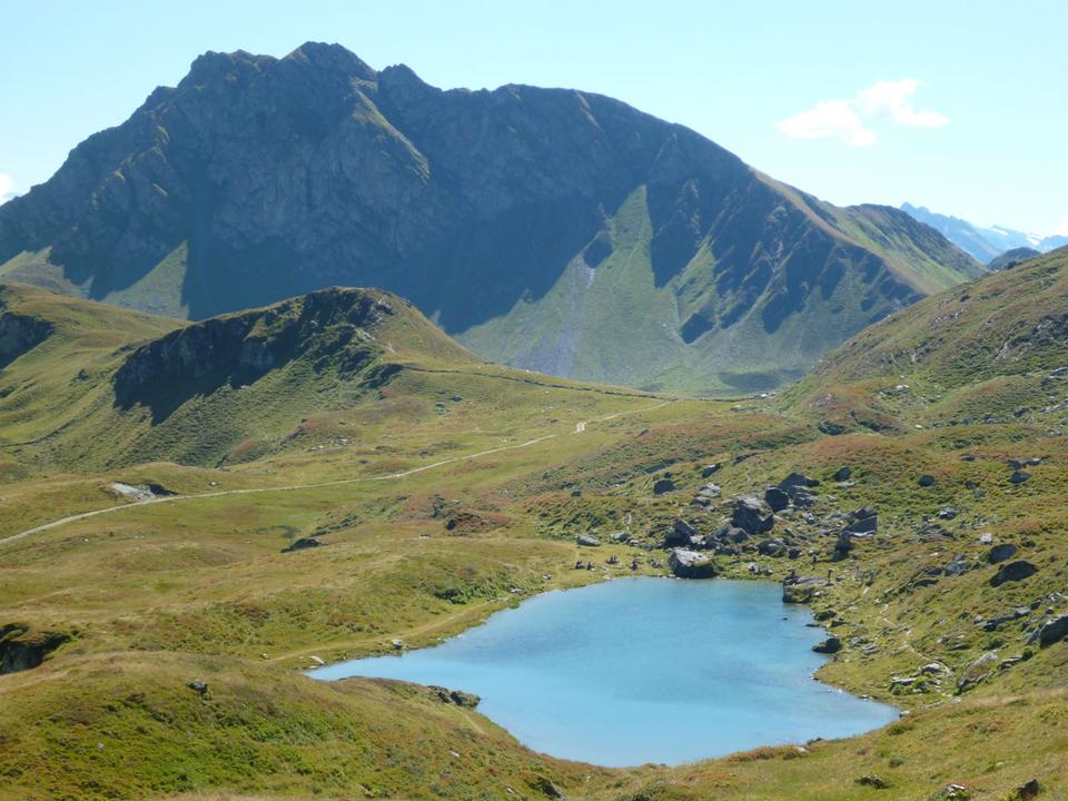 Torsee 6