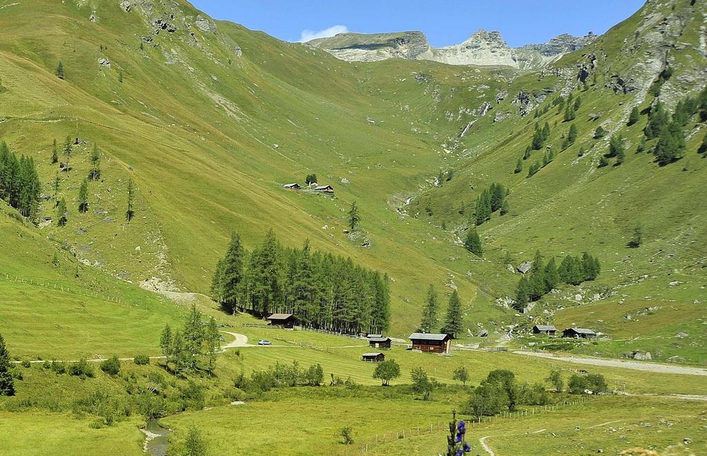 Kröll Alm Asten