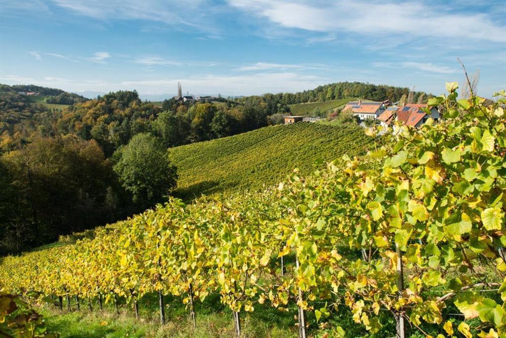 Weingut Pongratz Kranachberg_