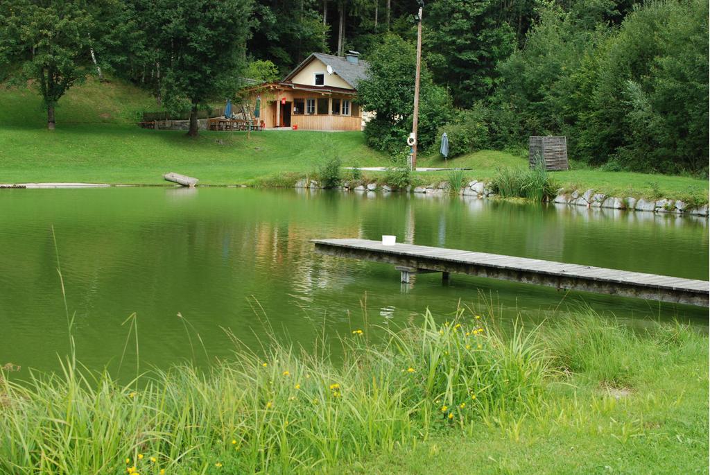 Freizeitteich