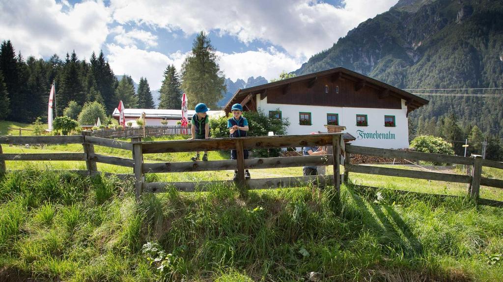 Froneben Alm 1.306m - Sommer