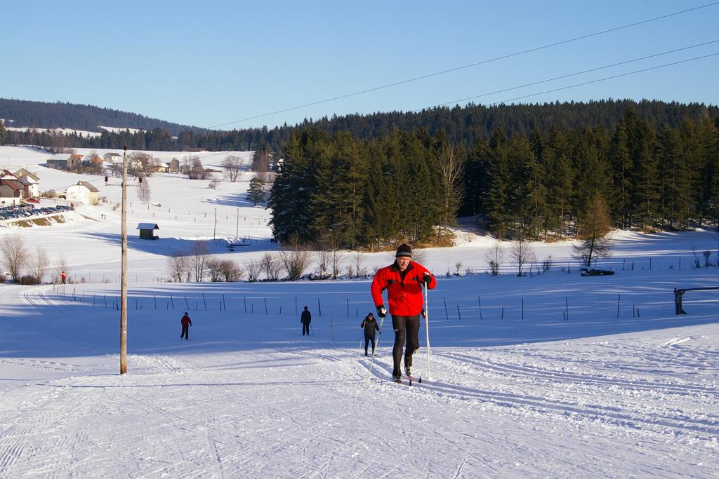 Langlauf Mitterbach