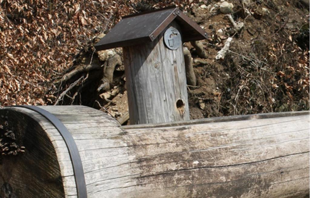 Holztrog Brunnen am Kapuzinerberg