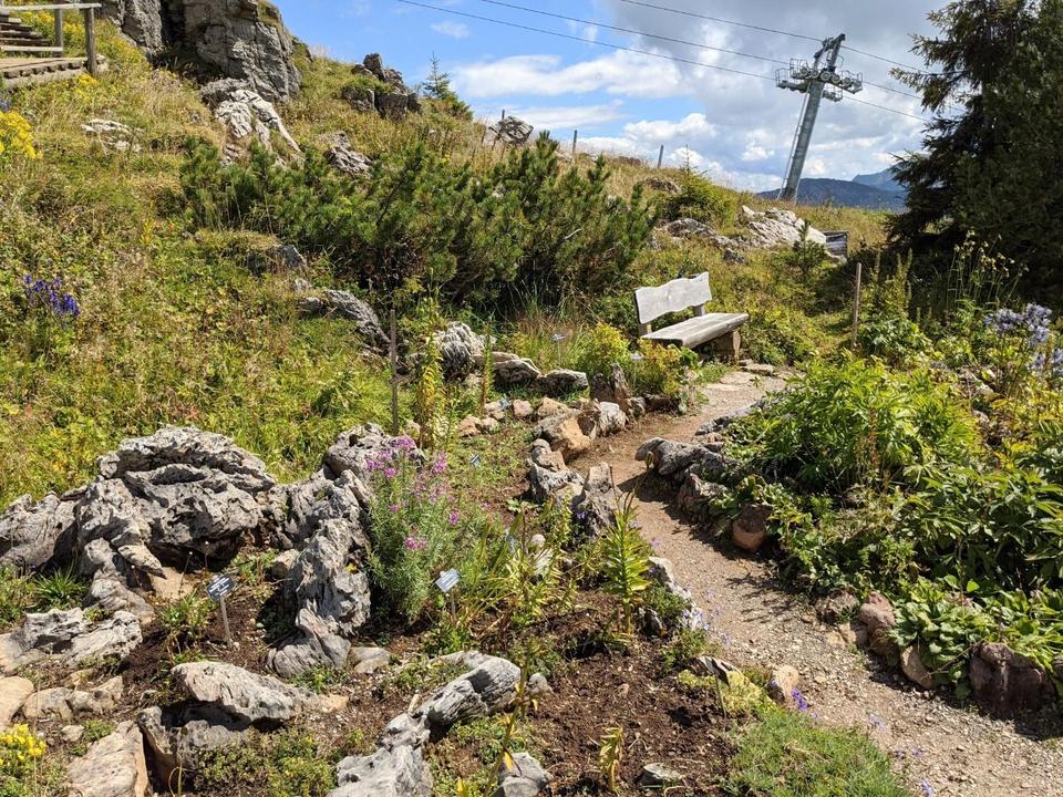 KH Alpenblumen Panorama (6).jpg