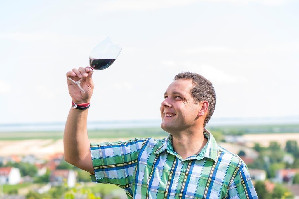 Weingut Sattler