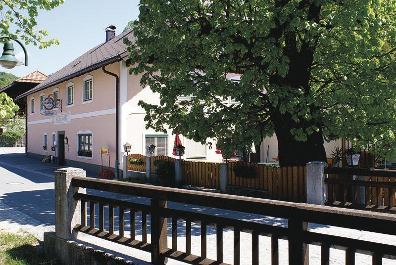 Dorfwirt von Brücke