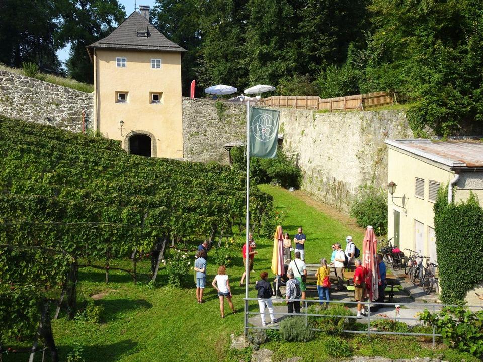 Weingartenführung