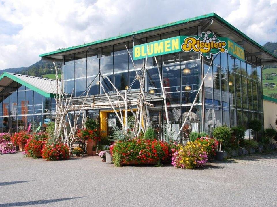 Außenansicht Sommer