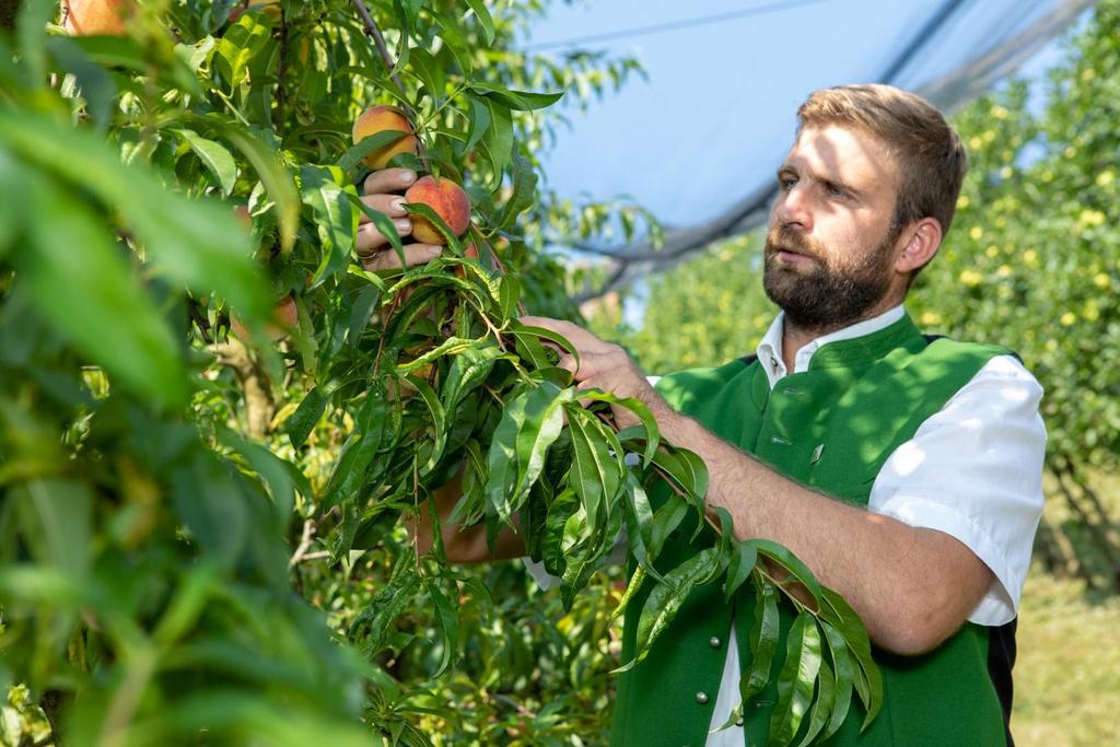 Obstbau Boden