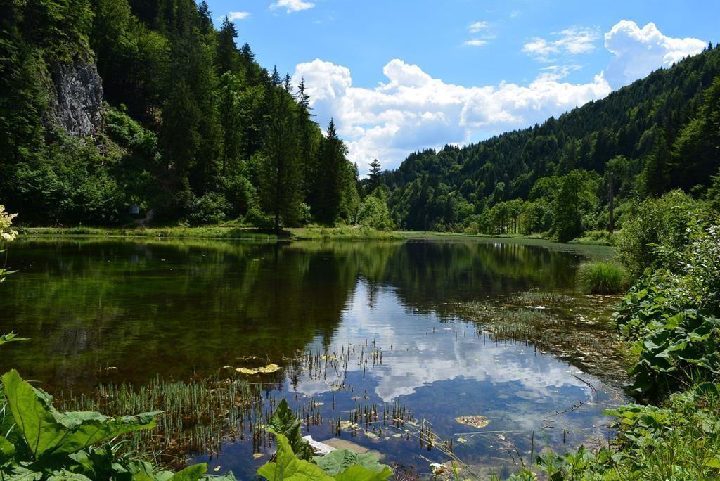 Der Wiesensee