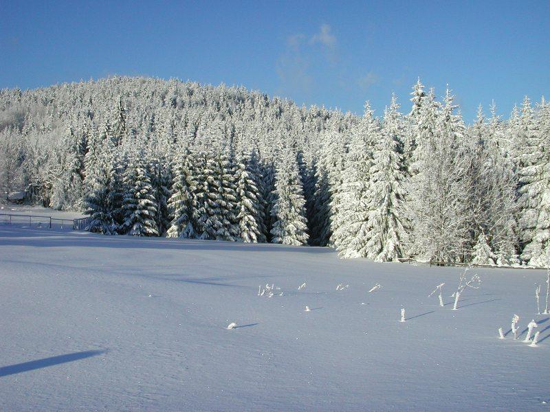 Winterwandern ab Schöneben