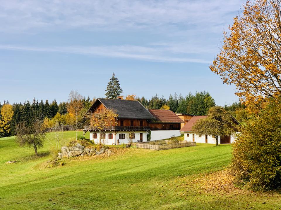 Waldhausen - Herbst 2020 - Hinterredt - Manfred Hinterdorfer