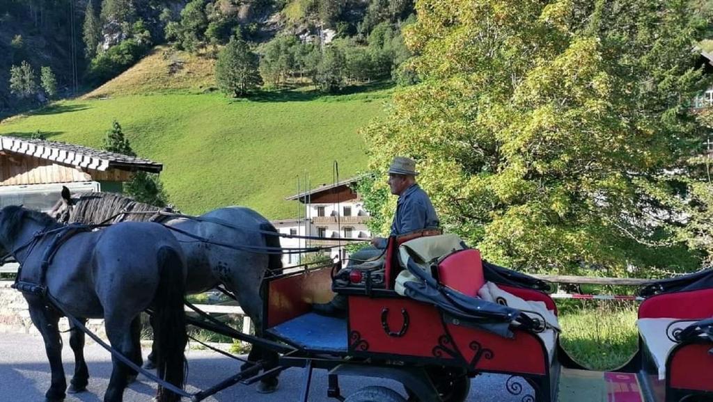 Fiaker Lederer Sommer