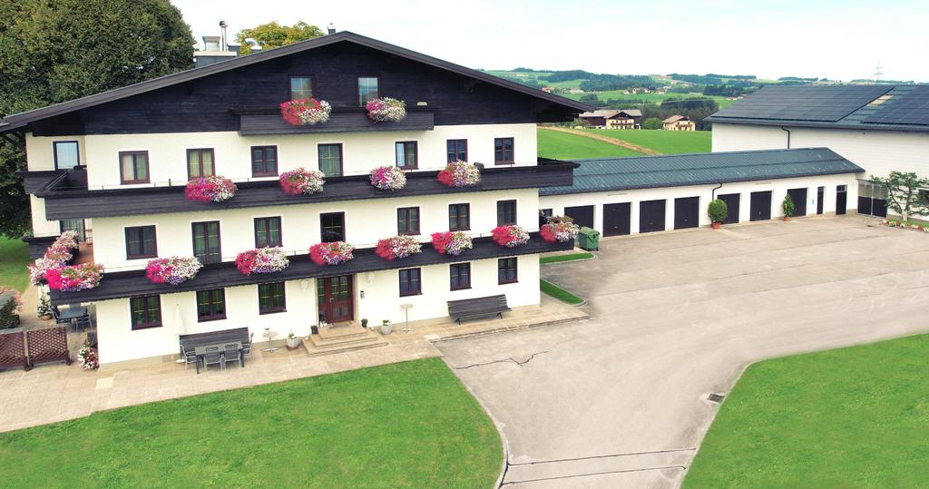 DJI_0251 5