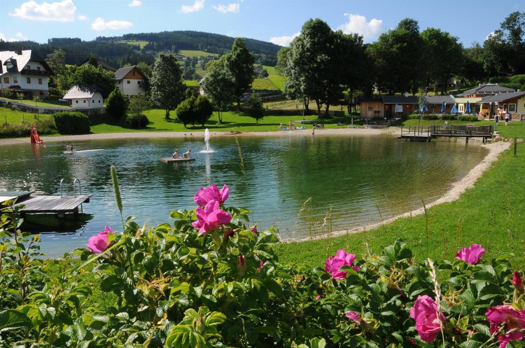 Naturbadeteich Fischbach_Ansicht_Oststeiermark