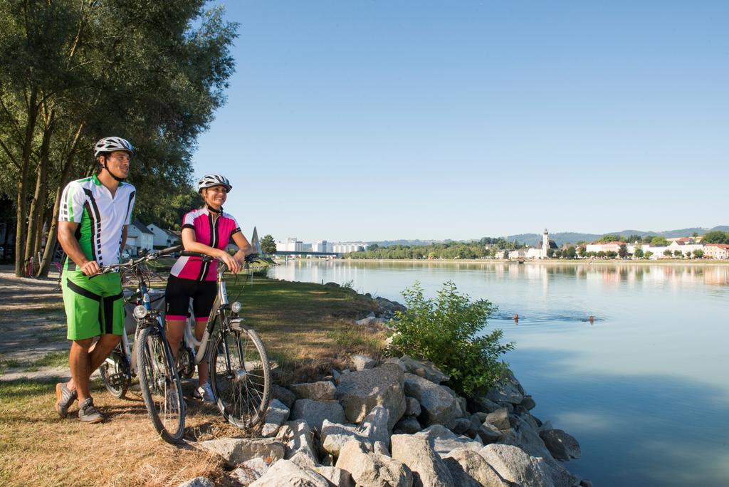 Donauradweg Blick auf Aschach