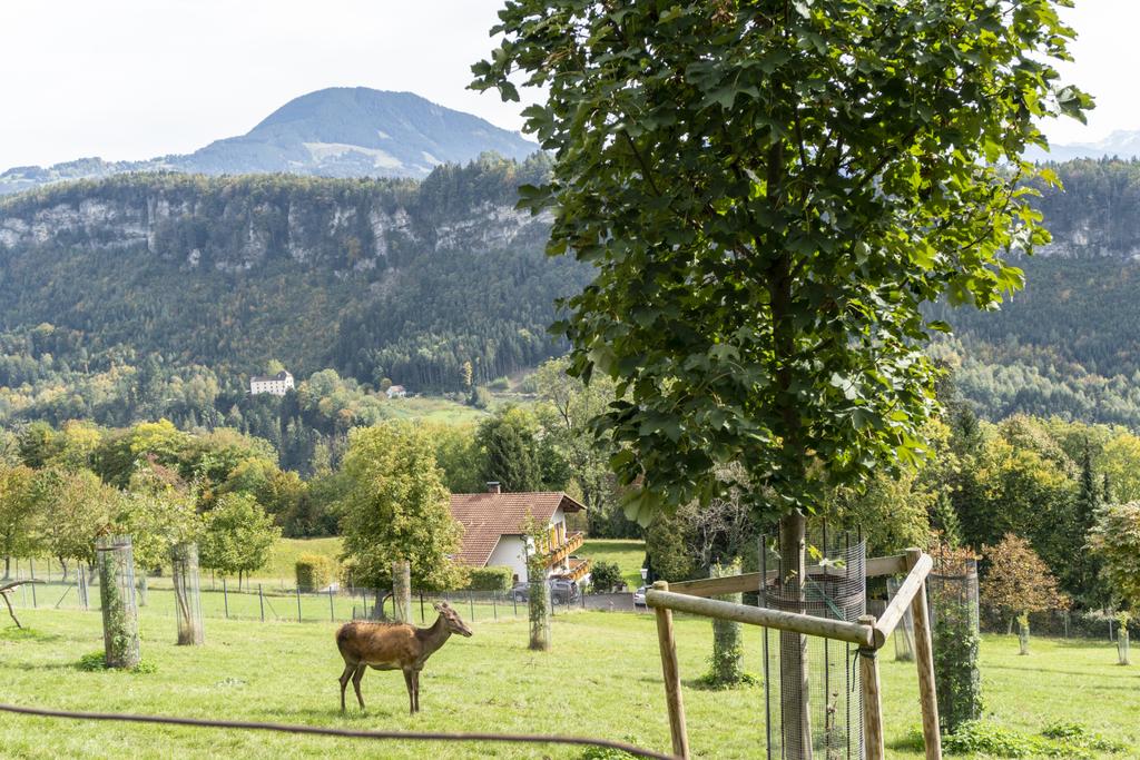 Wildpark Feldkirch